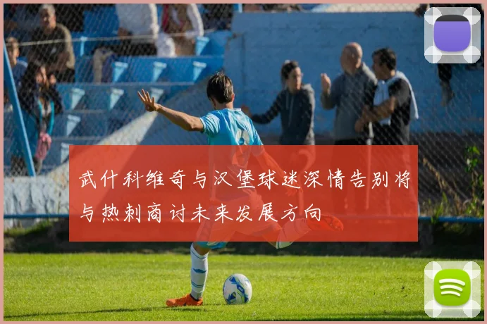 武什科维奇与汉堡球迷深情告别将与热刺商讨未来发展方向